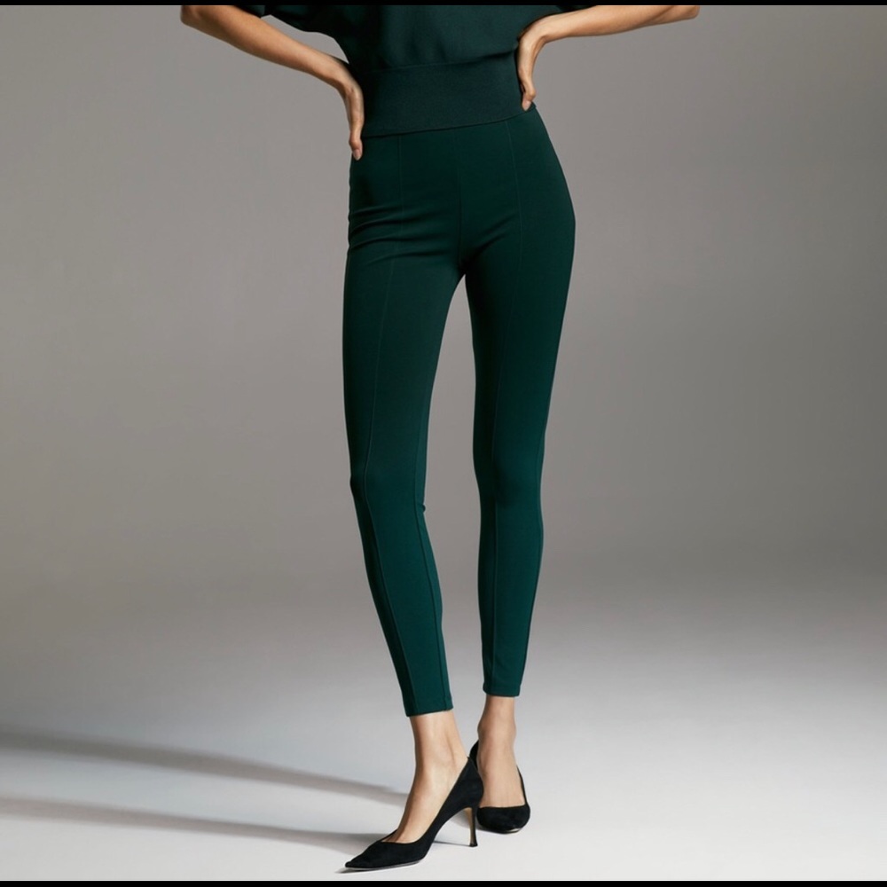 Aritzia Babaton Kooning High Waist Legging Pant